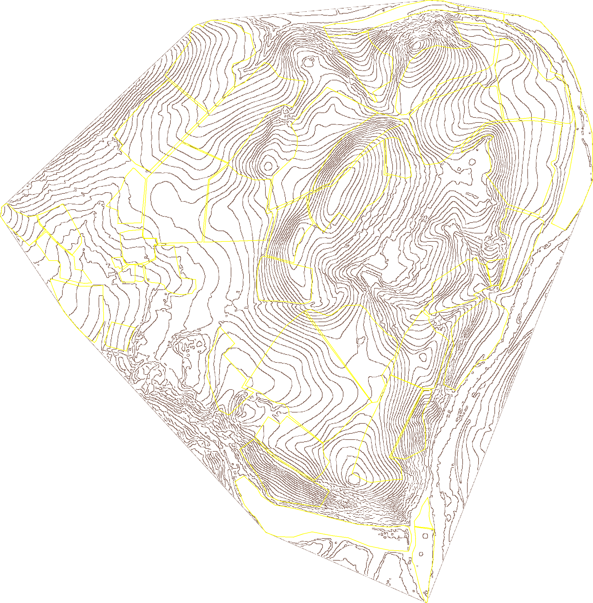 Two-metre contour lines across Wilder Wood Farm — fine grey isolines revealing every roll, ridge and hollow, the engineering-grade base layer behind keyline design, dam siting and track planning.