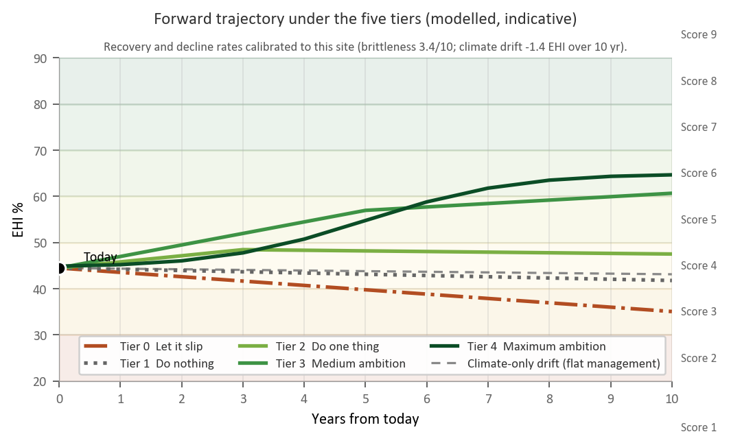 Per-field forward-trajectory chart for one Wilder Wood field, modelling condition over ten years under five levels of management ambition.