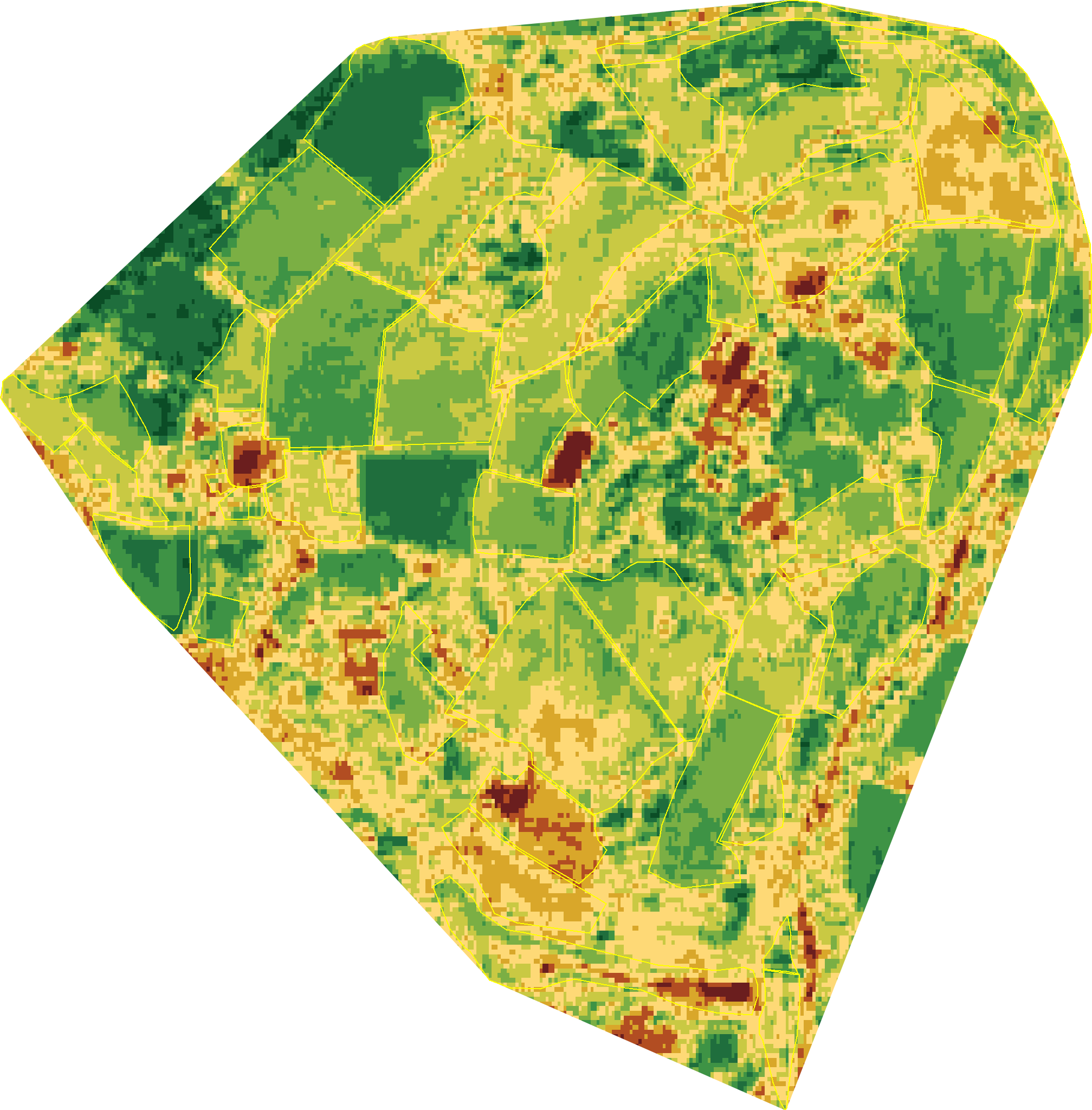 Land Health classification map of Wilder Wood Farm in 2019 — every 10-metre hexagon shaded on the nine-band score scale, dark green for healthier parcels through to brown where ecological function has thinned.