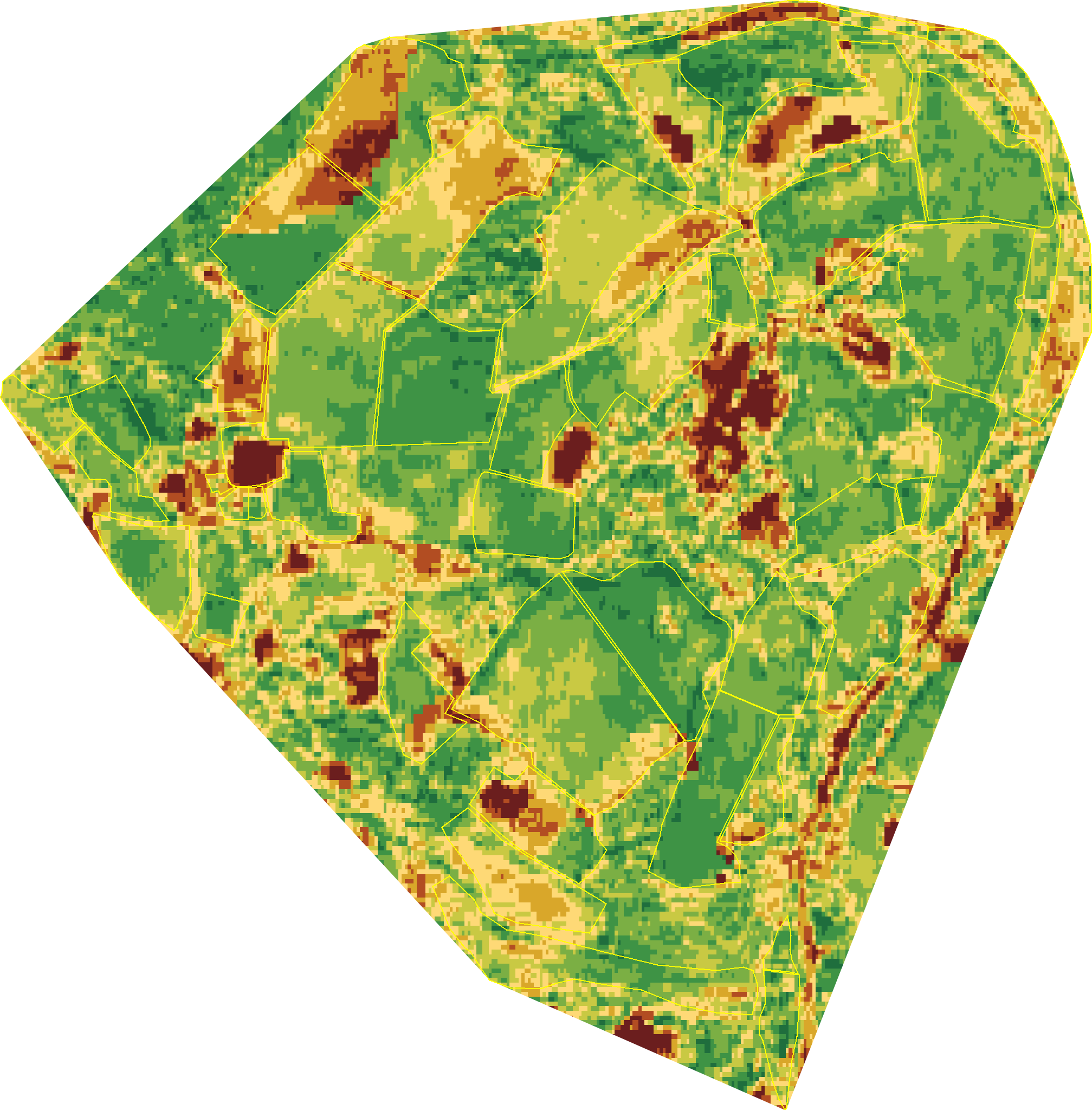 Land Health classification map of Wilder Wood Farm in 2022 — every 10-metre hexagon shaded on the nine-band score scale, dark green for healthier parcels through to brown where ecological function has thinned.