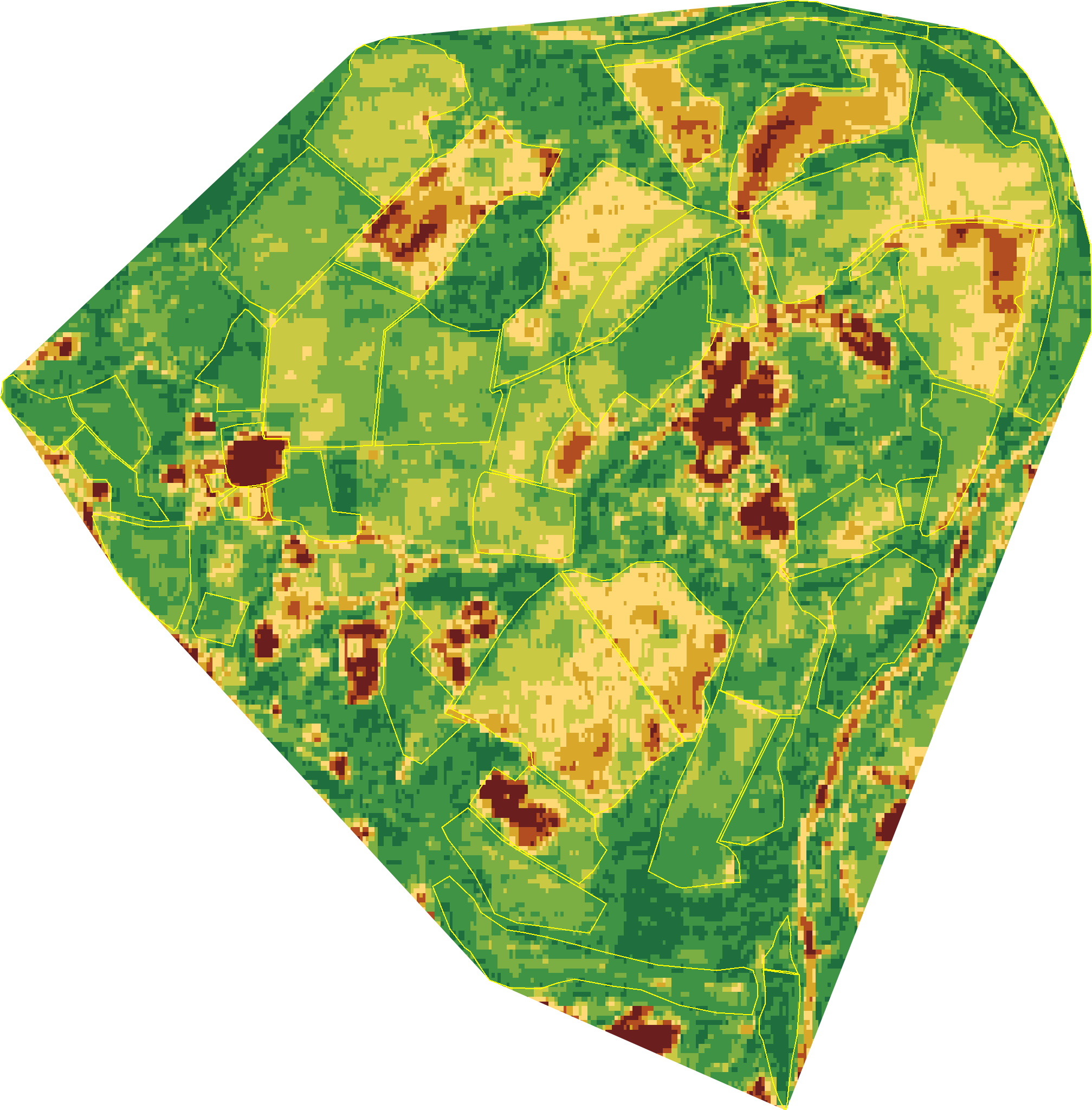 Land Health classification map of Wilder Wood Farm in 2024 — every 10-metre hexagon shaded on the nine-band score scale, dark green for healthier parcels through to brown where ecological function has thinned.