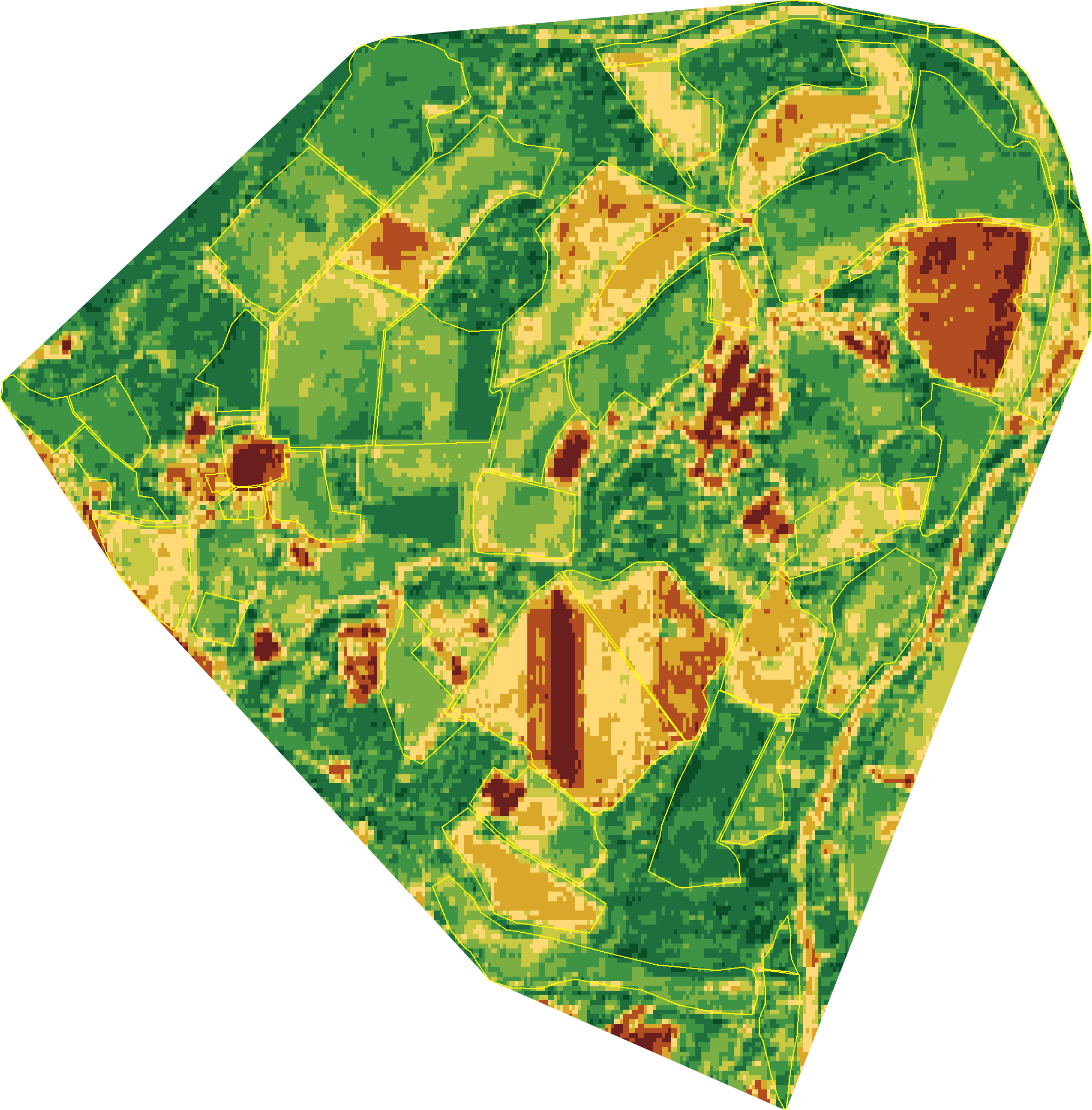 Land Health classification map of Wilder Wood Farm in 2025 — every 10-metre hexagon shaded on the nine-band score scale, dark green for healthier parcels through to brown where ecological function has thinned.