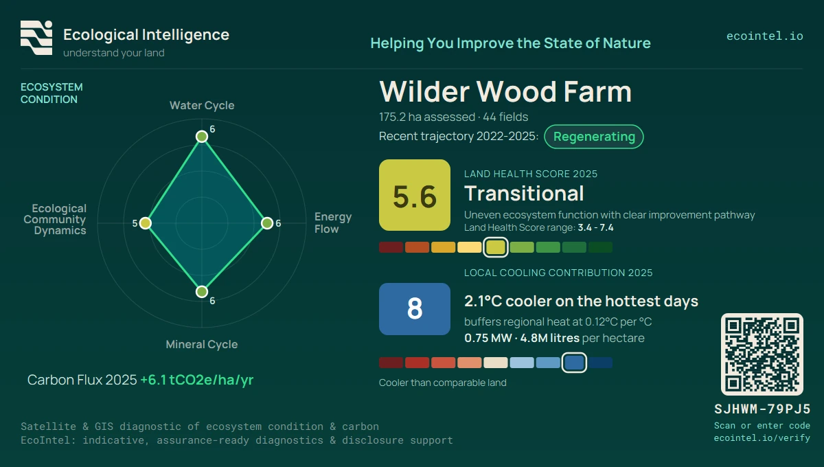 EcoIntel Land Health badge for Wilder Wood Farm: Land Health Score 5.6 Transitional, trajectory steady across 2018 to 2025, net carbon +6.1 tCO2e per hectare per year, about 2.1 degrees cooler than comparable land on the hottest days, and the four ecosystem processes on the 1 to 9 scale.