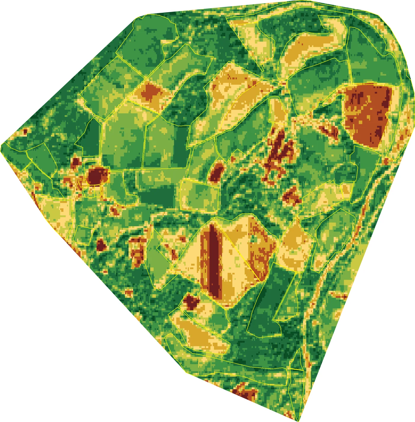 Land health classification map of Wilder Wood Farm for 2025, each 10 metre block classified 1 to 9 by its Land Health band, greener is healthier.