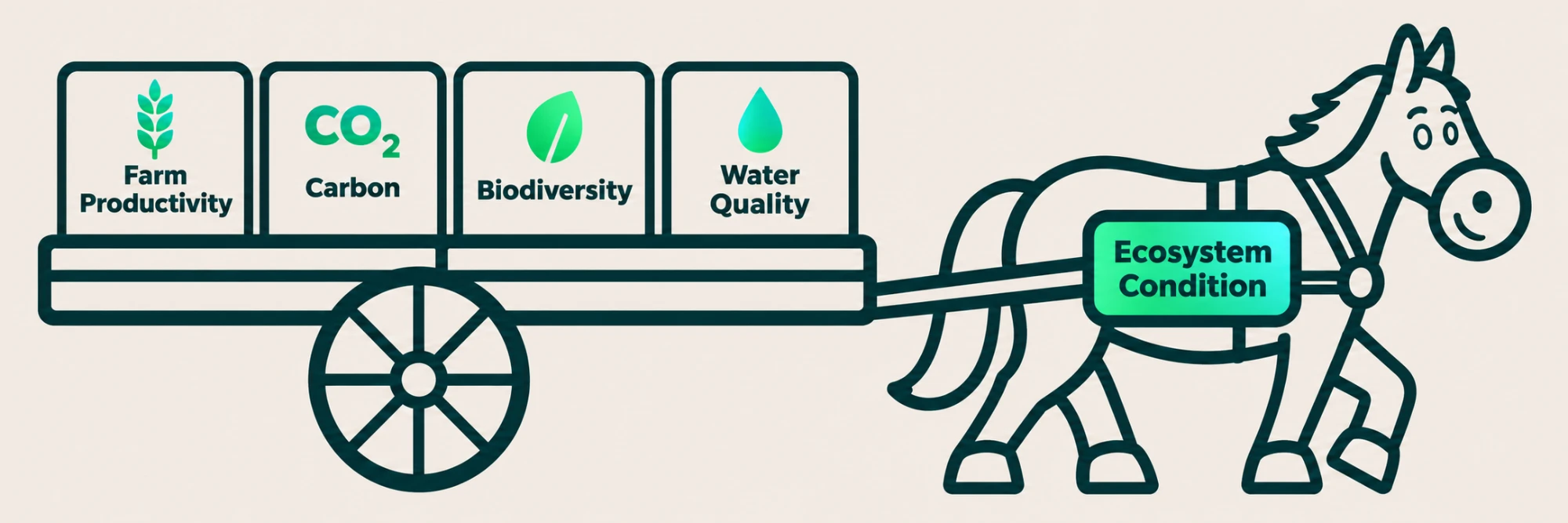 Illustration of a horse labelled 'Ecosystem Condition' pulling a cart that carries four blocks: Farm Productivity, CO2 Carbon, Biodiversity and Water Quality. The horse is the driving force and the cart's contents are the outcomes it pulls along.
